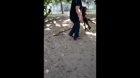 Another k9 workout