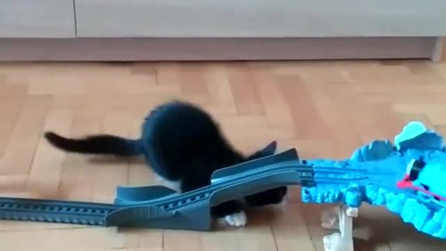 Adorable kitten attacks toy train set