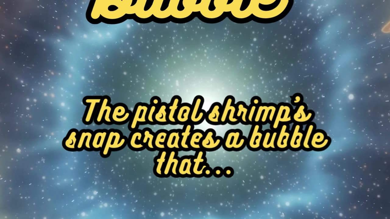 Animal Facts Pistol Shrimp Bubble #shorts