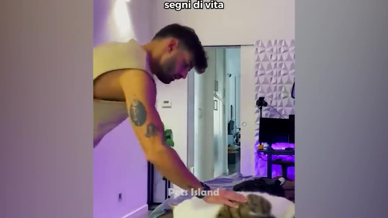 Funny Animal Videos 2023 🥰