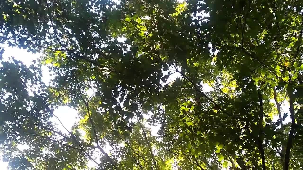 A short intro of NATURE