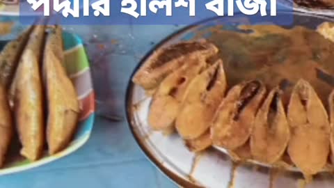 পদ্মার পাড়ের বাঁজা ইলিশ