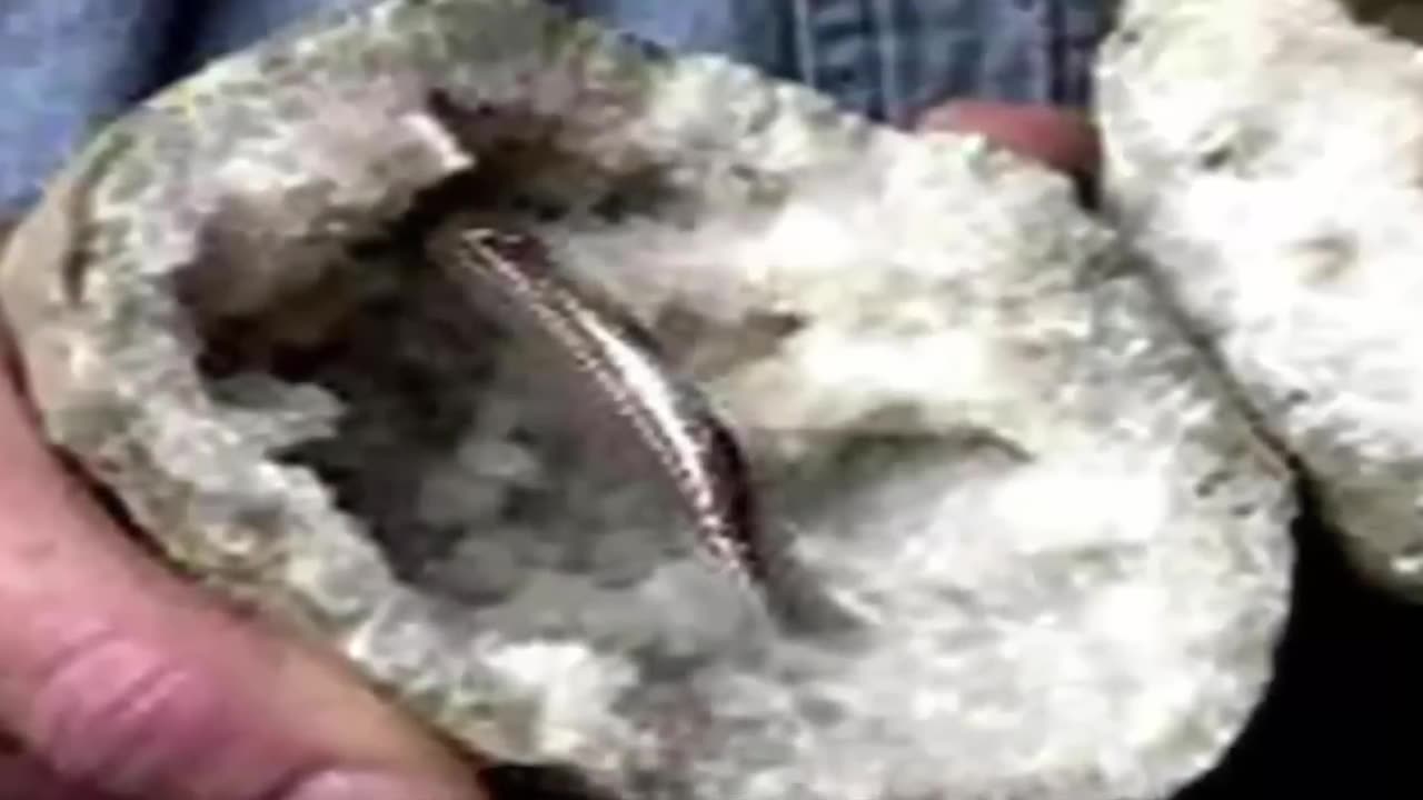 Unbreakable Ring Found Inside Geode
