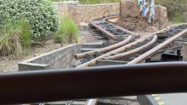 Expedition Everest front row!