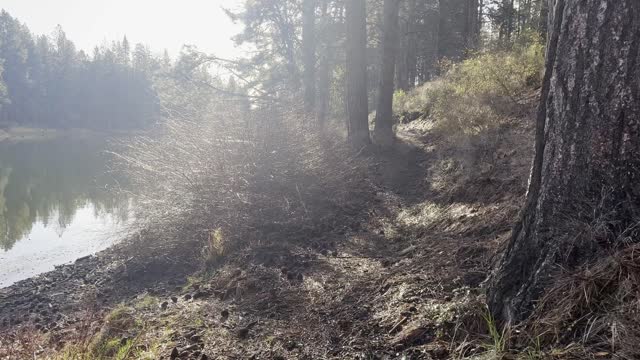 Hiking Beside a Small Pond Bog on Deschutes River Trail – Central Oregon – 4K