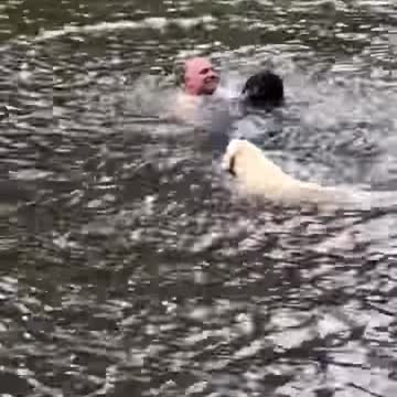 DOGS PANIC WHEN OWNER SWINGS OUT AND FALLS INTO LAKE, THEN SWIM OUT TO RESCUE HIM.