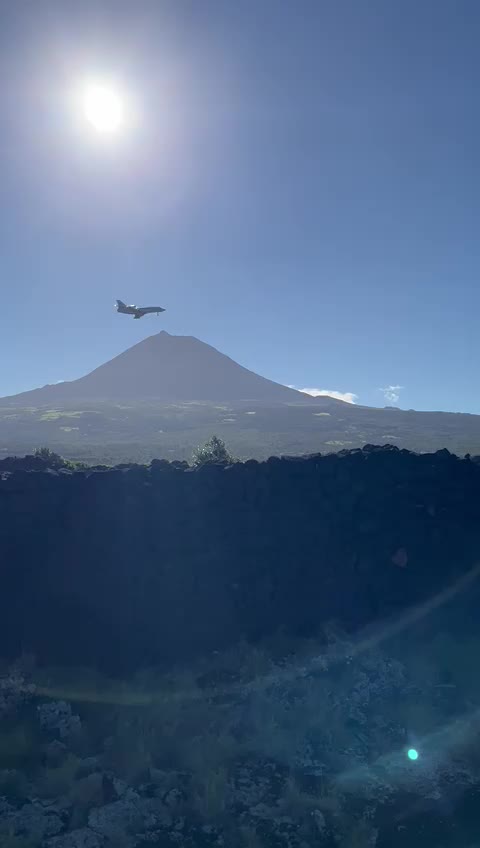 Private jet from a closer look