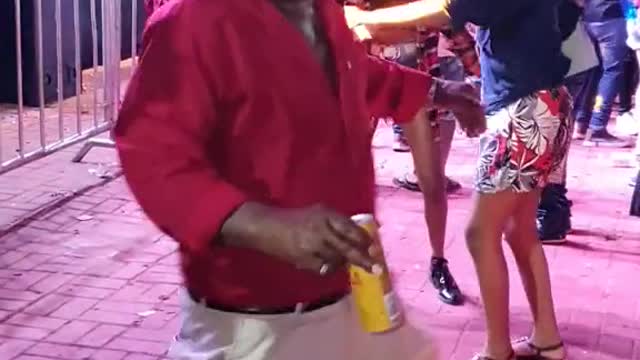 cute and funny animals