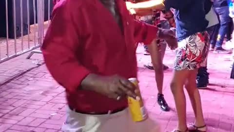 cute and funny animals