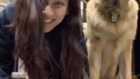 My Husband wouldn't Do The Plank Challenge With Me! | So I Got My Dog To Do It Instead.