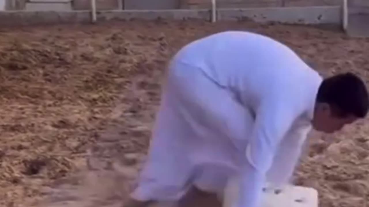 He was not expecting that :)