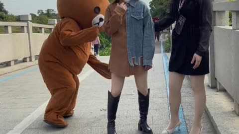 brown bear teasing the girl and the ending 50