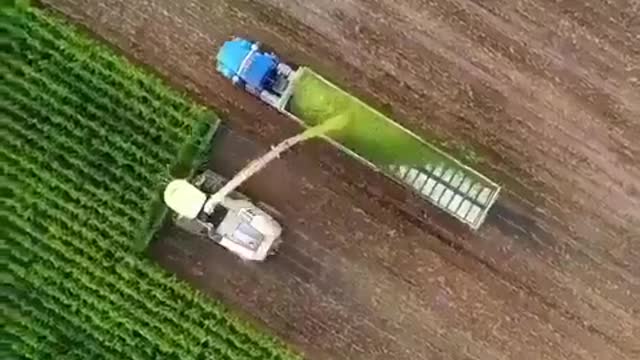 Modern farming