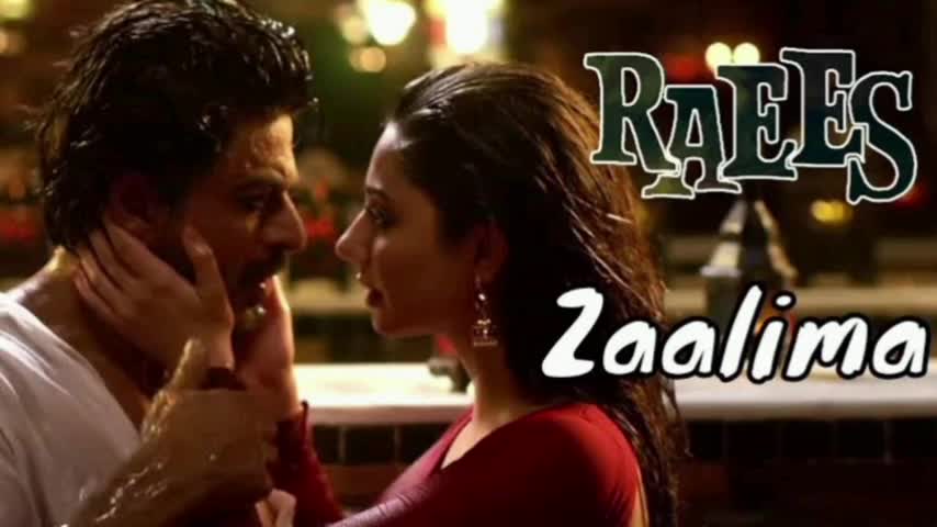 Zaalima जालिमा Raees #raees #srk #sharukhkhan #zalima #hindi #youtube #trendingstatus #viral