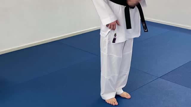 San Dan Gi White Belt explanation