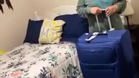 Triggered Holiday Guest