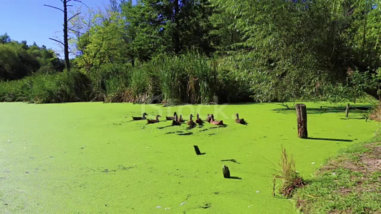 Naturaleza maravillosa