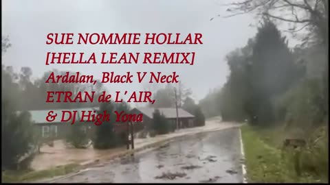 Sue Nommie Hollar [Hella lean Remix]