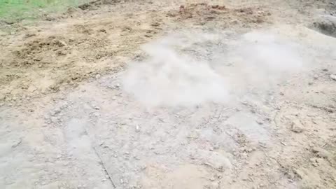 Funny videos