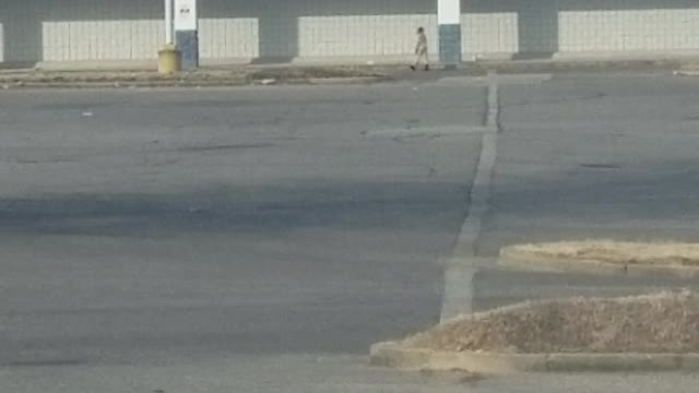 Child Chases Car Through Abandoned Carpark