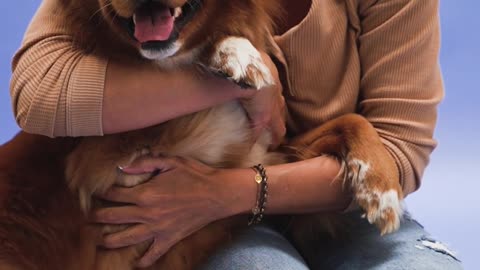 woman hugging her dog