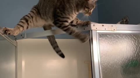 Oh no!! Got himself in a little trouble!