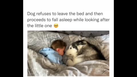 The Cutest Thing You’ll See Today