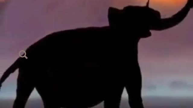 Amazing creative video.