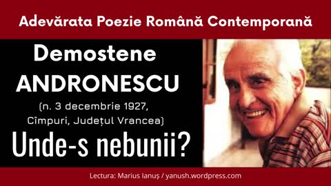 Demostene Andronescu - UNDE-S NEBUNII ?