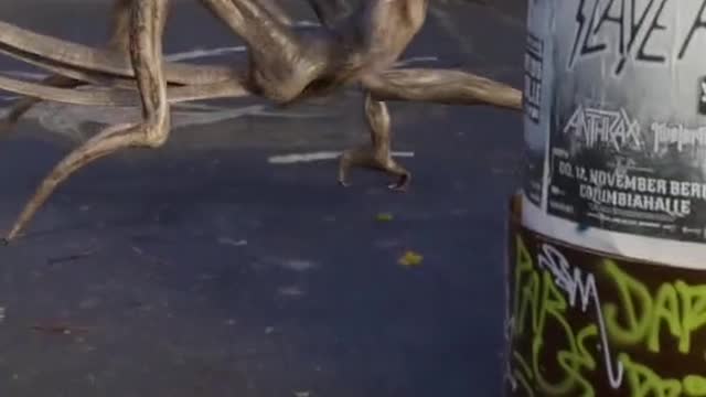 accidentally this video Filmed a strange animal