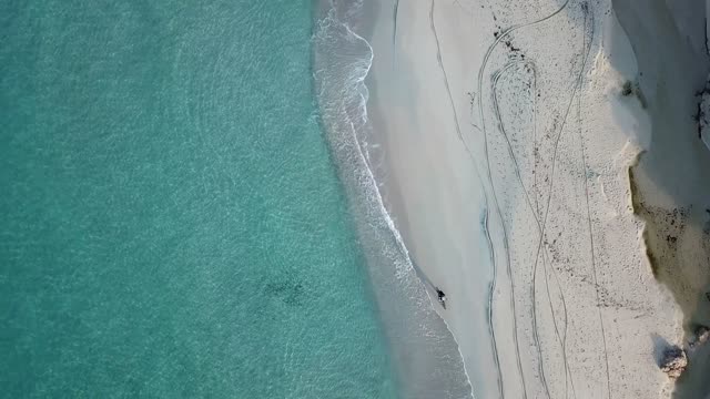 Beach Biker