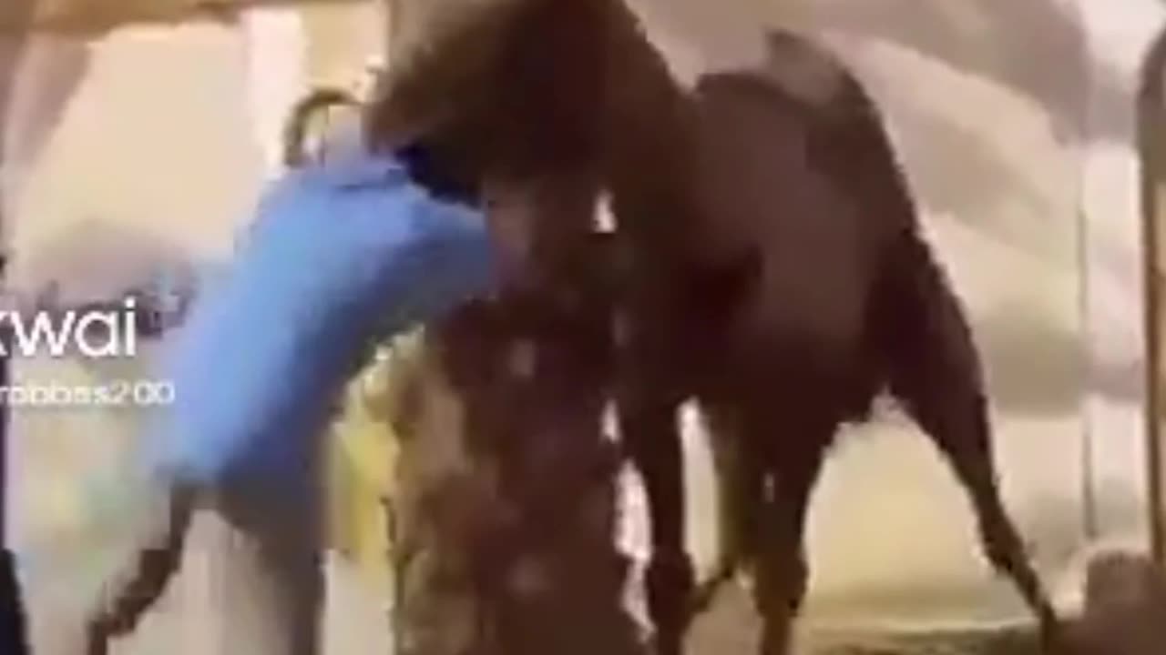 Kya I baat hai Veri good 👍👌😅🤩😅🤣🤣