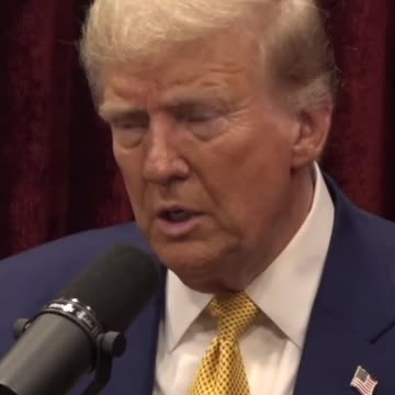 SAVE OUR WHALES | Joe Rogan & Donald Trump