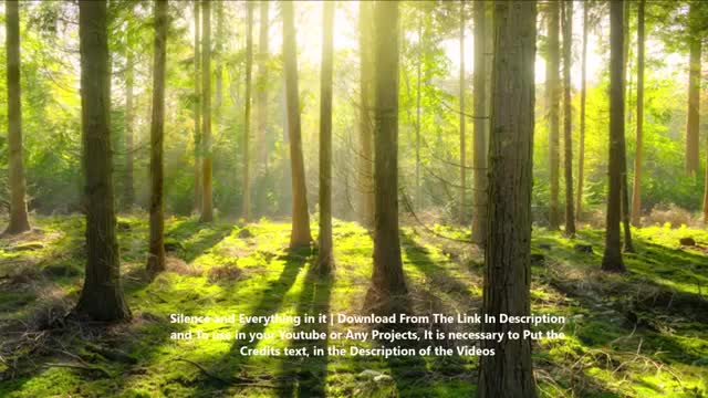 Healing Song - Meditation Song Relaxing - Stress Relief Song - Music to sleep quickly - 1 hour