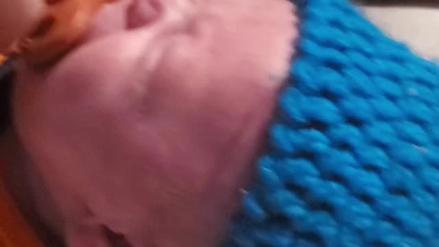 My son is super Saiyan blue