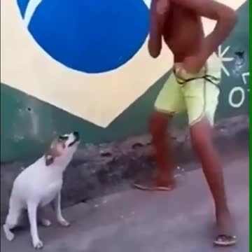 Let’s dance with this cute puppy