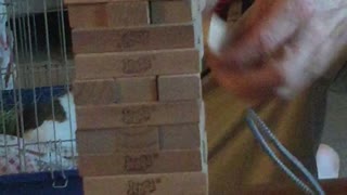 Amazing Jenga Skills