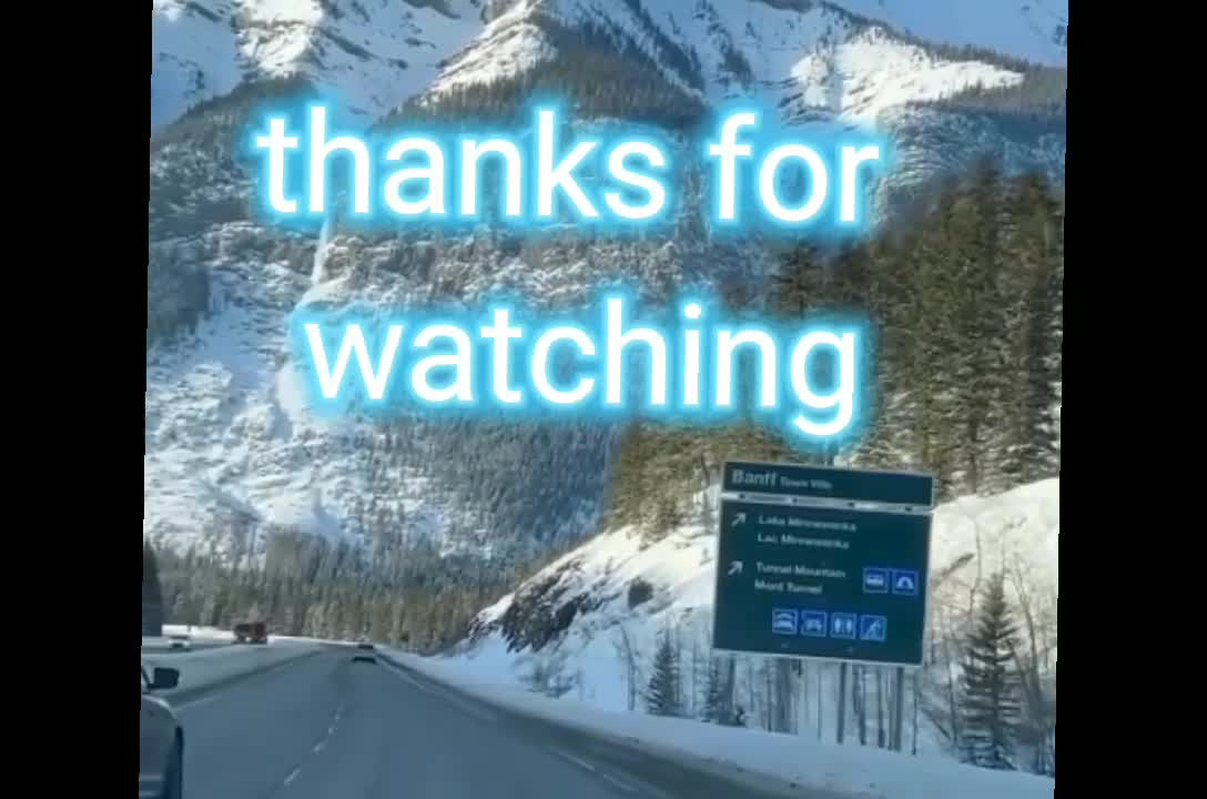 trip to the surprising