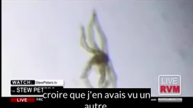 Effrayant: Contenu des Vaccins au Microscope