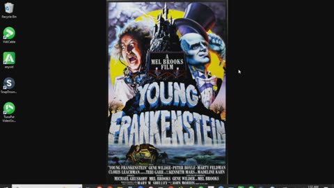 Young Frankenstein Review