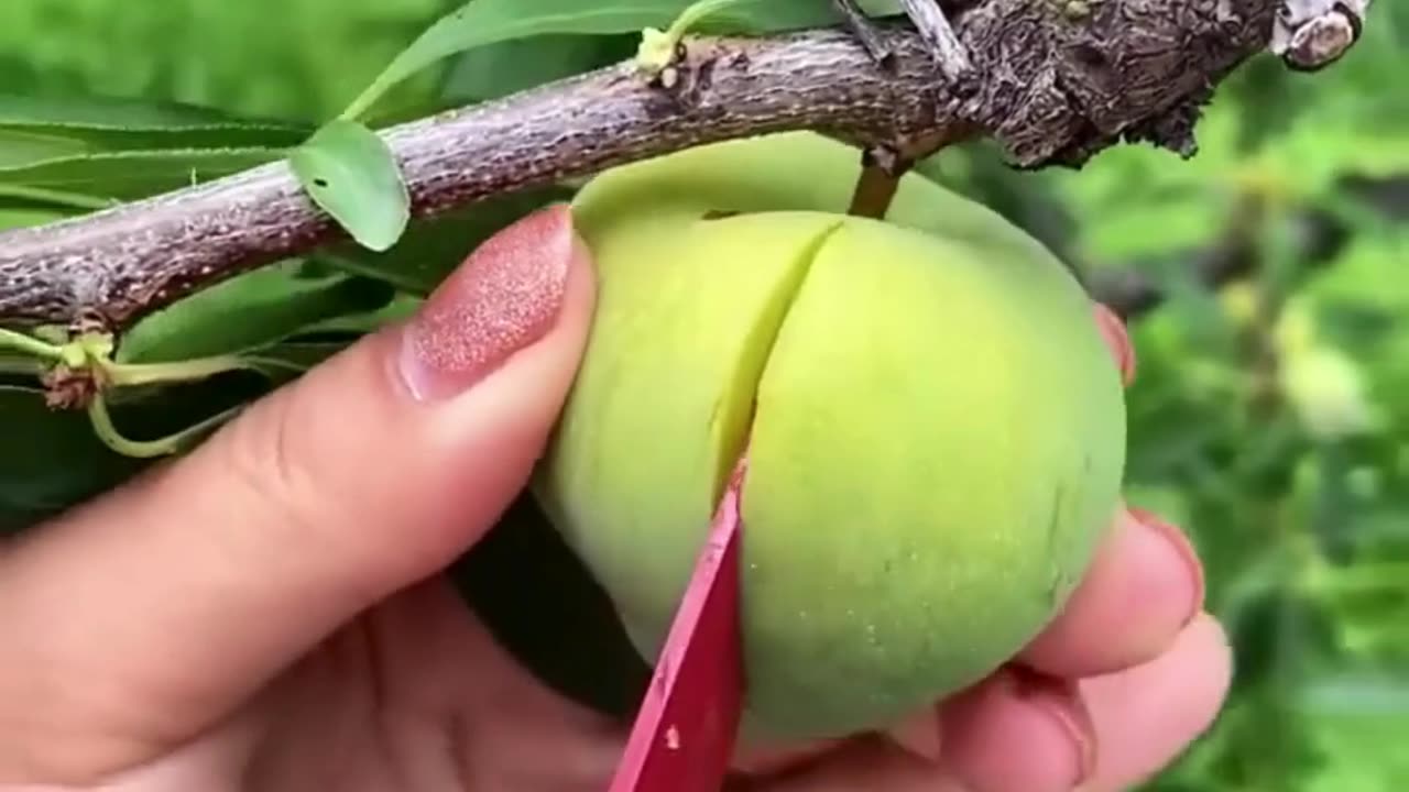 Amazing fruits cutting