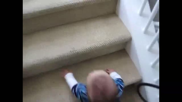 Colin learns to climb stairs_batch