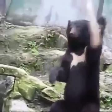 In this world, there are too many people smiling at you.