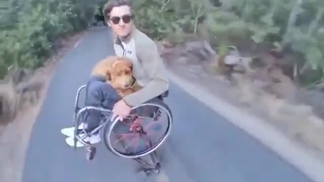 Radical dog walking