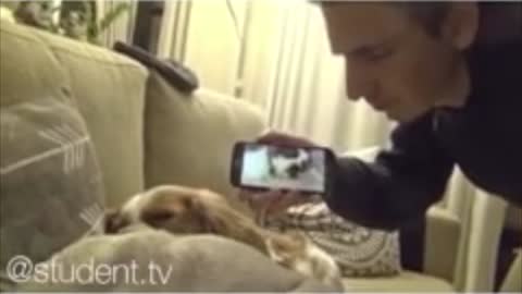 Watch What Happens When Pet Views Owners Footage Of It Snoring