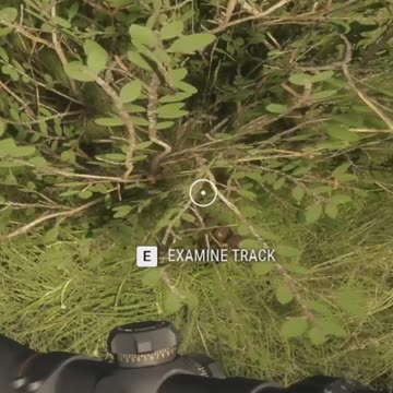 Scared the Poop out of Him Hunter Call of the Wild