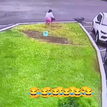 Wait till the end 🐕🤣🤣