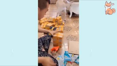Cute Puppies 😍 Cute Funny and Smart Dogs Funny Video