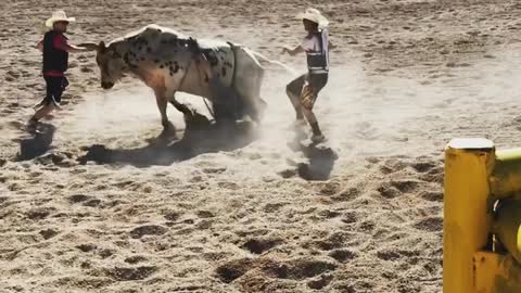 Hand Hooked on Bucking Bull