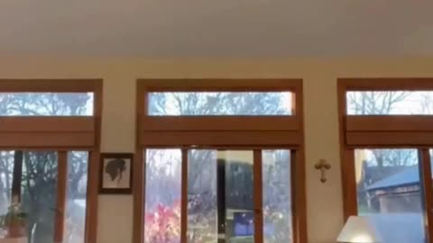 The End 😂😂😂 #viral #shorts #reels #funny #fails #HumorPeriod